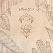 Soñadores (feat. Rodrigo Gallardo) artwork