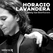 Horacio Lavandera - Ludwig Van Beethoven artwork