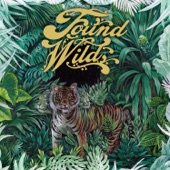 Found Wild - EP artwork