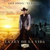 Te Lo Debo a Ti by Luis Angel "El Flaco" iTunes Track 1