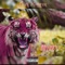Wild - Chief Kamren lyrics