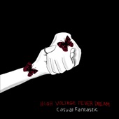 Casual Fantastic - Never Know (feat. Sonotropic) feat. Sonotropic