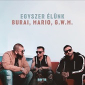 Egyszer Élünk artwork