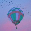 In the Sky - Single