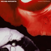 No Me Importa (Extended Mix) artwork