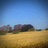 Sun Kil Moon - Ben's My Friend