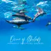 Ocean of Melody: Hypnotic Dolphins Sounds album lyrics, reviews, download