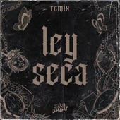 Ley Seca (Remix) artwork