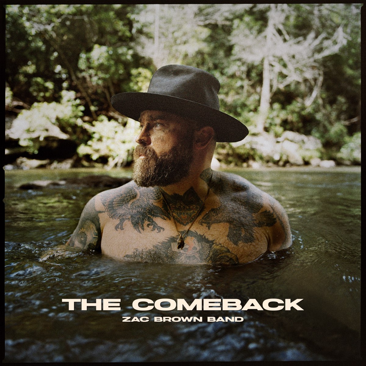 ‎The Comeback by Zac Brown Band on Apple Music