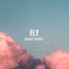 Fly - Single