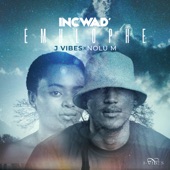 iNcwadi Emhlophe (feat. Nolu M) artwork
