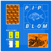 Pip Blom - It Should Have Been Fun