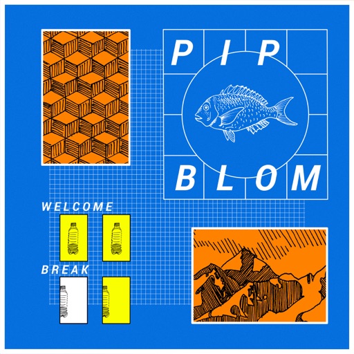 Album art for Pip Blom - You Don't Want This