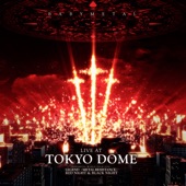 LIVE AT TOKYO DOME artwork