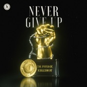 Never Give Up (Extended Mix) artwork