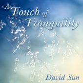 A Touch of Tranquility - David Sun