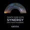 Synergy (Frans Strandberg Remix) - Fanatic Funk & Zita lyrics