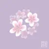 plum blossom album lyrics, reviews, download
