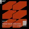 Trinidad Dreams (Avira Remix) - Single album lyrics, reviews, download