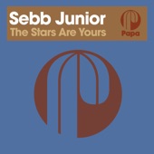 The Stars Are Yours (Instrumental Mix) artwork