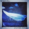 Another Storm - Single