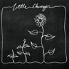 Little Changes (Acoustic) - Single