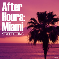 Various Artists - After Hours: Miami artwork