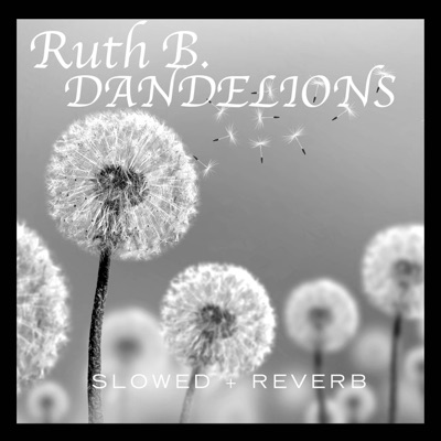 Dandelions Slowed Reverb Ruth B Shazam