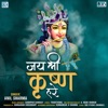 Anil Sharma - Jay Shree Krishna Hare
