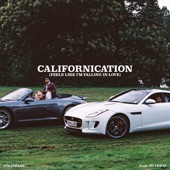 Californication (Feels Like I'm Falling in Love) artwork