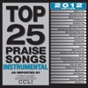 Top 25 Praise Songs Instrumental - 2012 Edition, 2012