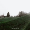 Pine Trees - Single