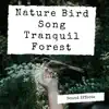 Nature Bird Song Tranquil Forest Sound Effects - Single album lyrics, reviews, download