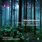 London Symphony Orchestra & John Eliot Gardiner - A Midsummer Night's Dream, Incidental Music, Op. 61: No. 8, Andante