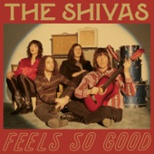 The Shivas - Feels So Bad