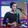 Petal on Audiotree Live - EP