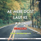 Ae Mere Dost Laut Ke Aaja artwork