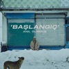Anıl Durmuş - Başlangıç