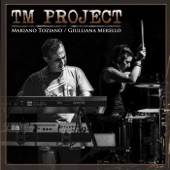 T M Project artwork