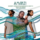 Amanzi (feat. Just Bheki) [Tom Staar Remix] artwork