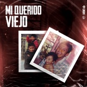 Mi Querido Viejo (Remix EDM) artwork