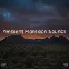 !!!" Ambient Monsoon Sounds "!!! album lyrics, reviews, download