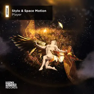 Player (Dub Mix) by Stylo & Space Motion song reviws