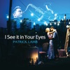 I See It in Your Eyes - Single