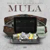 MuLa (feat. JaysenLazy) - Single album lyrics, reviews, download