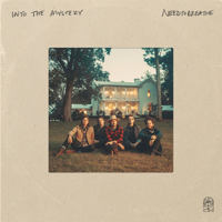 descargar bajar mp3 Into The Mystery - NEEDTOBREATHE