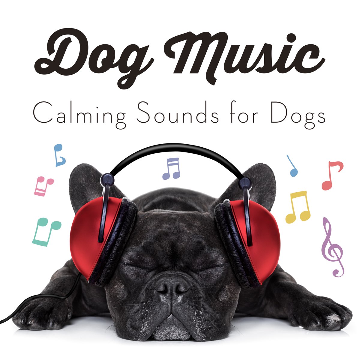 ‎Dog Music Calming Songs for Dogs (feat. Music for Dog's Ears) by Dog