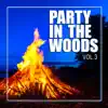 Party in the Woods, Vol.3 album lyrics, reviews, download
