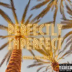 Perfectly Imperfect - Single by Hamma Tha Great album reviews, ratings, credits