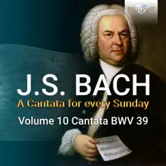 J.S. Bach: Brich dem dem Hungrigen dein Brot, BWV 39 by Netherlands Bach Collegium, Holland Boys Choir & Pieter Jan Leusink album reviews, ratings, credits